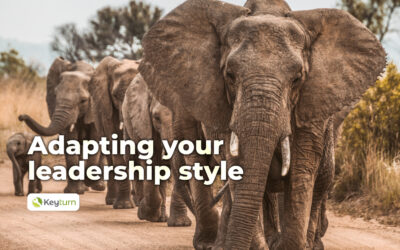 Adapting your leadership style